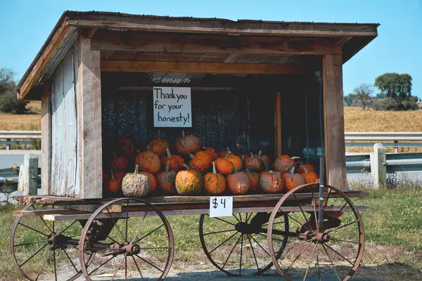 Çiftçi pazarında satılık turuncu balkabağı sergisi