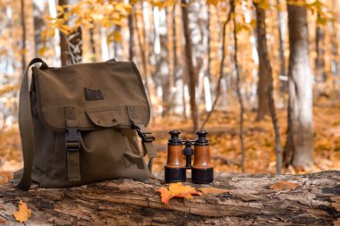 Parlak güneş ışığı ve doğa yürüyüşü kavramının olduğu bir sonbahar ormanında, ahşap bir kütükte dürbünlü sırt çantası.