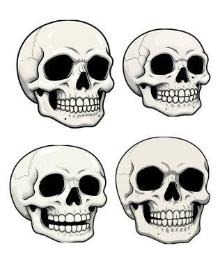 iskelet vektör sanat çizimi