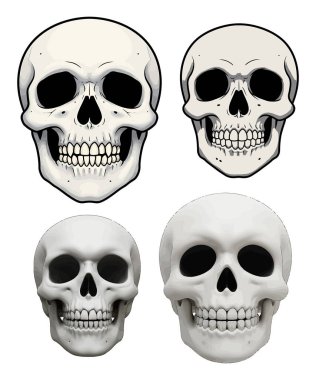 iskelet vektör sanat çizimi