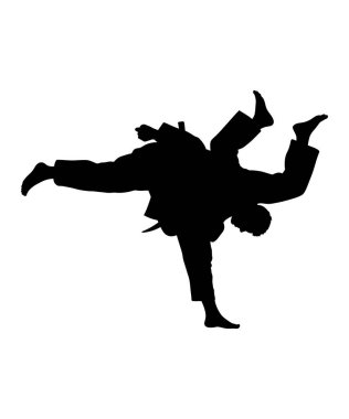 JUDO VECTOR ARTI SÜRÜLÜĞÜ