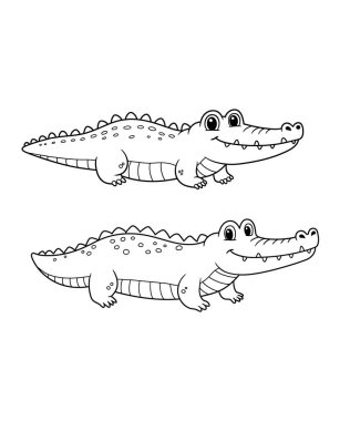 timsah vektör çizimi grafiği