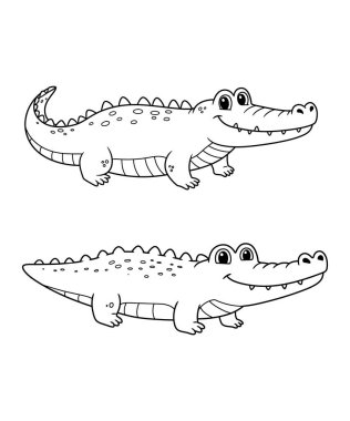 timsah vektör çizimi grafiği