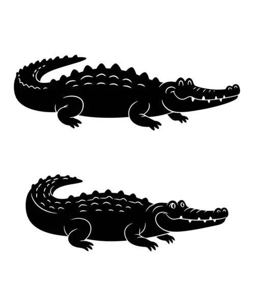 timsah vektör çizimi grafiği