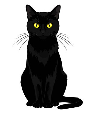 Büyük Gözler ve Kıvrık Kuyruklu Kara Kedi Çizimi 