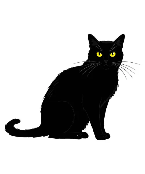 Büyük Gözler ve Kıvrık Kuyruklu Kara Kedi Çizimi 