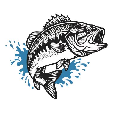 balık çizim vektörü grafiği