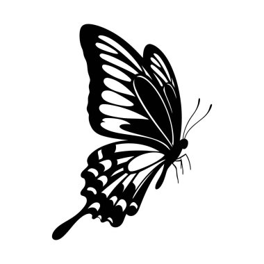 Kelebek vektör sanatı grafik