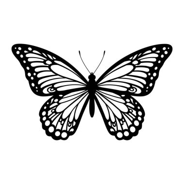 Kelebek vektör sanatı grafik