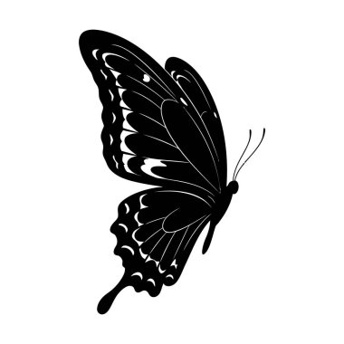 Kelebek vektör sanatı grafik