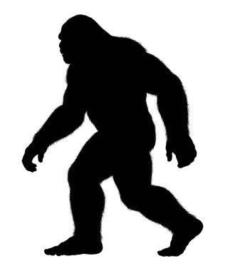 Kocaayak vektörü ghafhic Shellutes