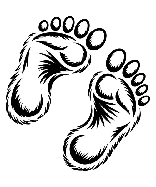 Kocaayak vektörü ghafhic Shellutes