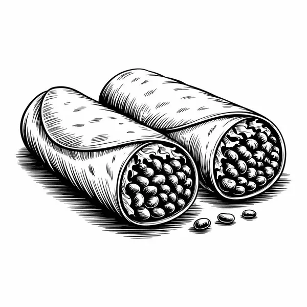 Burrito vectopr sanat grafiksel çizimi