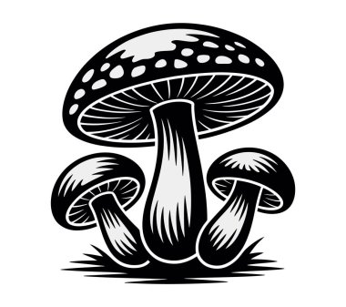 Mashroom vektör sanatı illüstrasyon grafiği