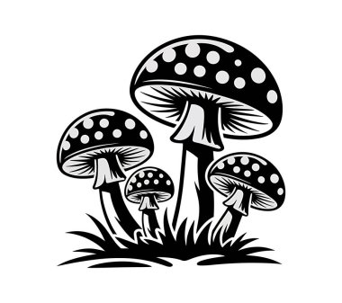 Mashroom vektör sanatı illüstrasyon grafiği