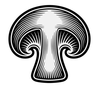 Mashroom vektör sanatı illüstrasyon grafiği