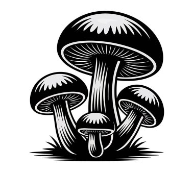 Mashroom vektör sanatı illüstrasyon grafiği