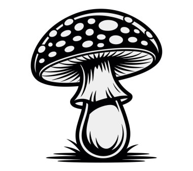 Mashroom vektör sanatı illüstrasyon grafiği
