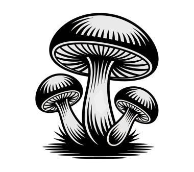 Mashroom vektör sanatı illüstrasyon grafiği