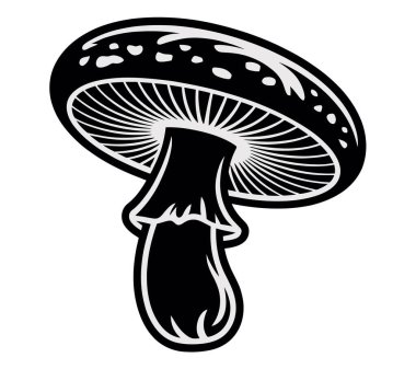 Mashroom vektör sanatı illüstrasyon grafiği
