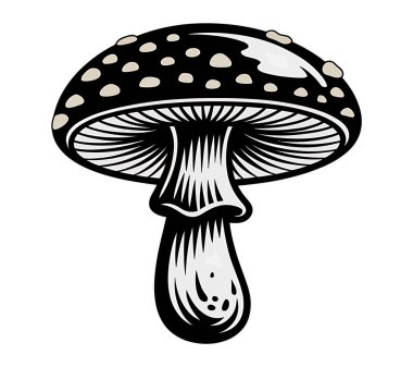 Mashroom vektör sanatı illüstrasyon grafiği