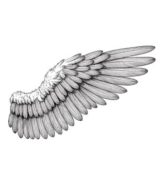 kanat vektörü sanat çizimi grafiği