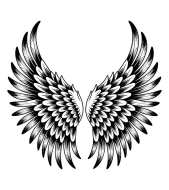 kanat vektörü sanat çizimi grafiği