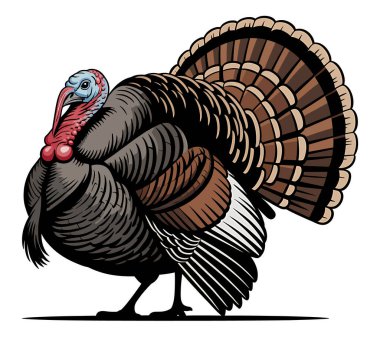 Türkiye vektör sanat illüstrasyonu grafiği