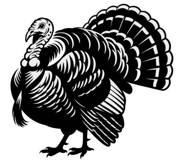 Türkiye vektör sanat illüstrasyonu grafiği