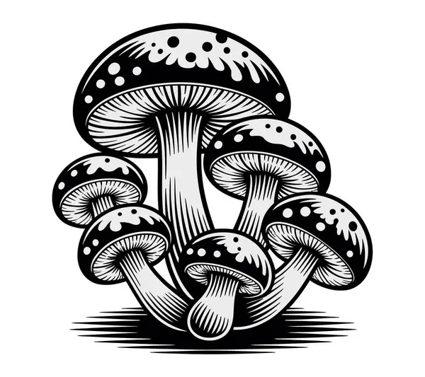 Mashroom vektör sanatı illüstrasyon grafiği