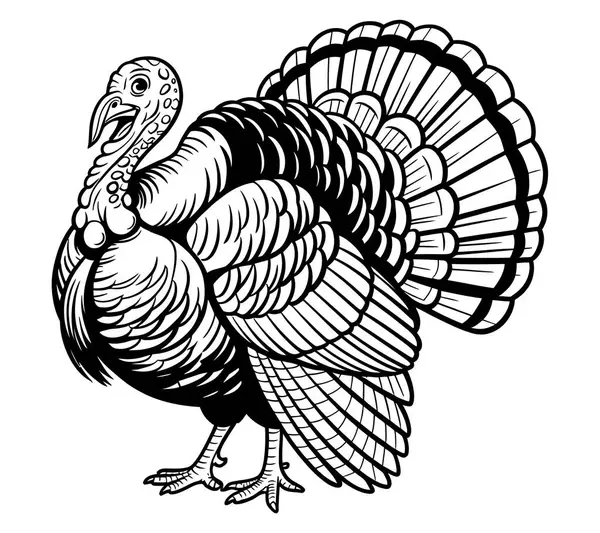 Türkiye vektör sanat illüstrasyonu grafiği