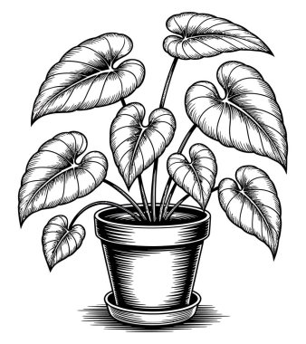 vahşi ağaç vektör resimleme grafiği