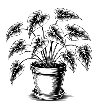 vahşi ağaç vektör resimleme grafiği