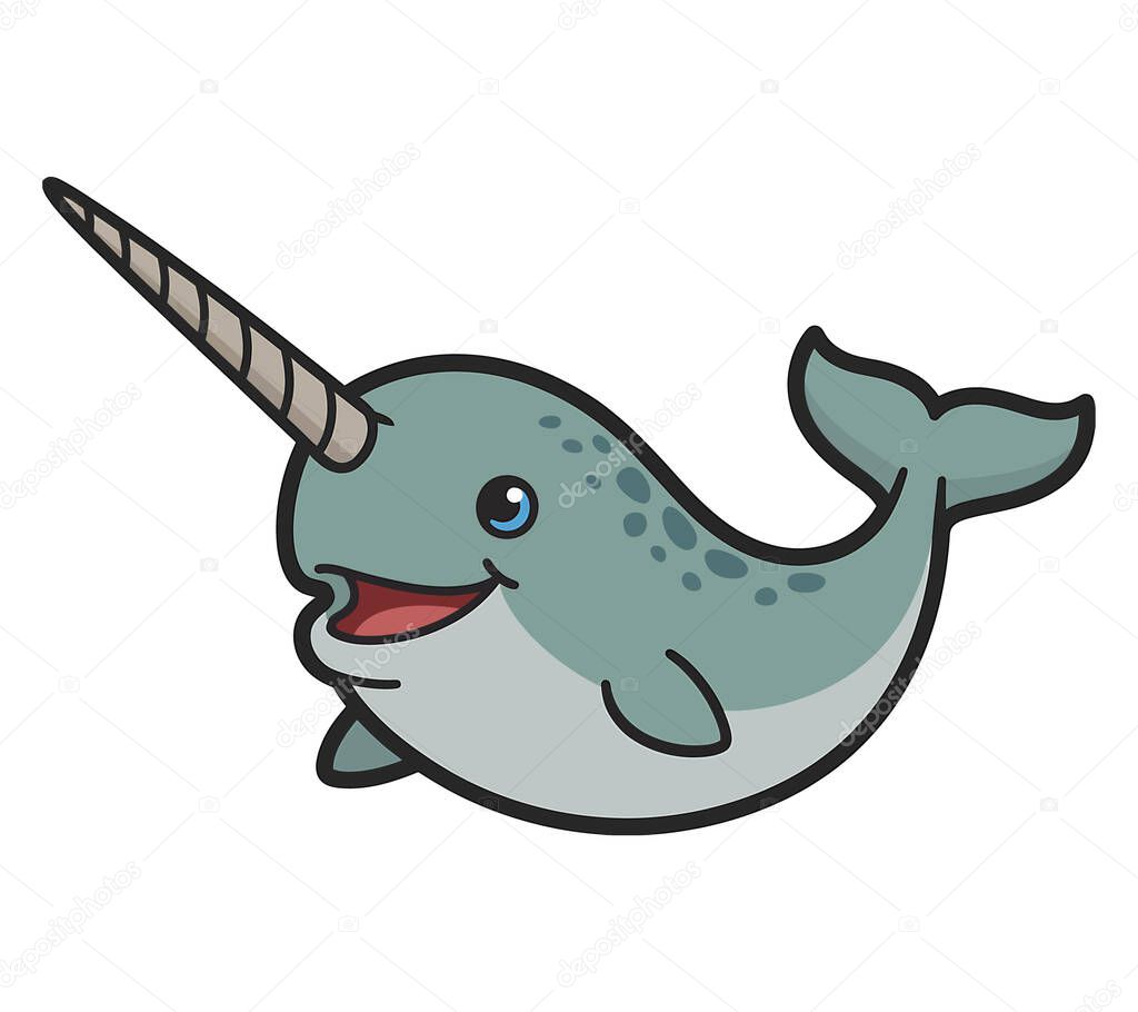 Narwhal vector illustration graphic