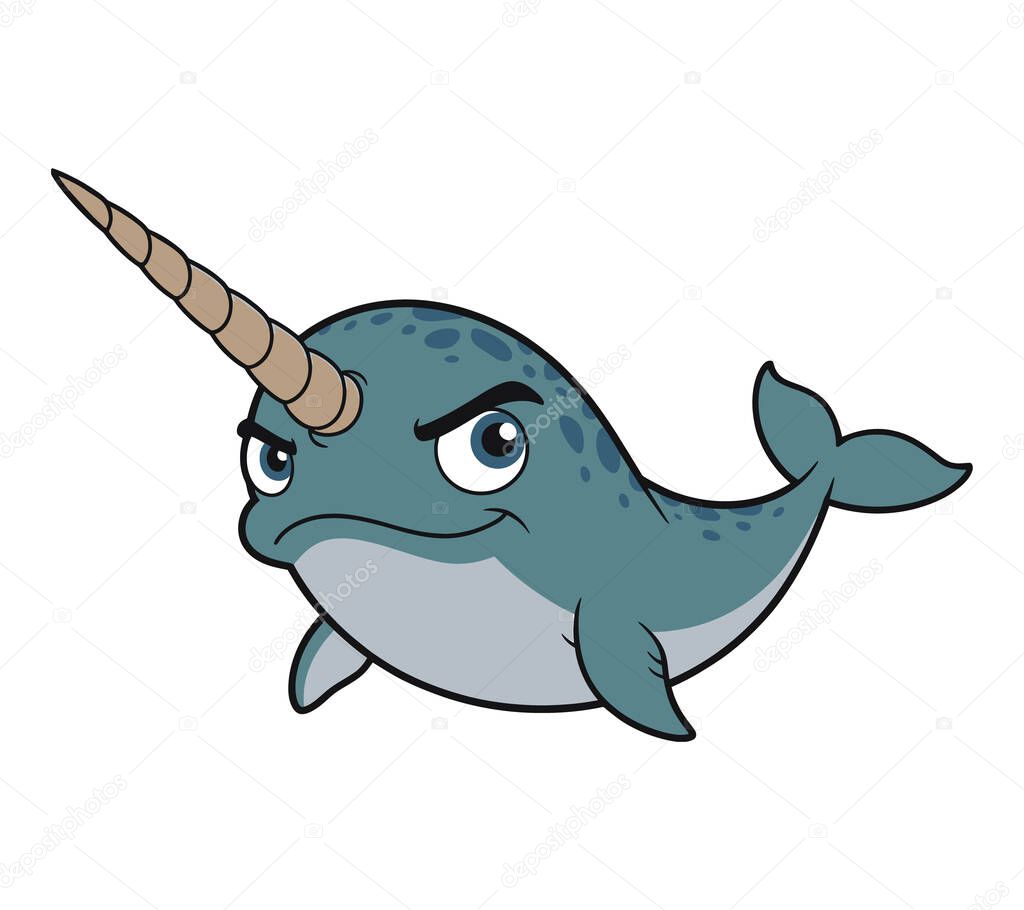Narwhal vector illustration graphic