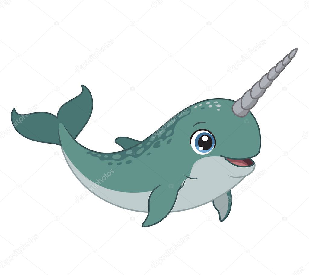 Narwhal vector illustration graphic