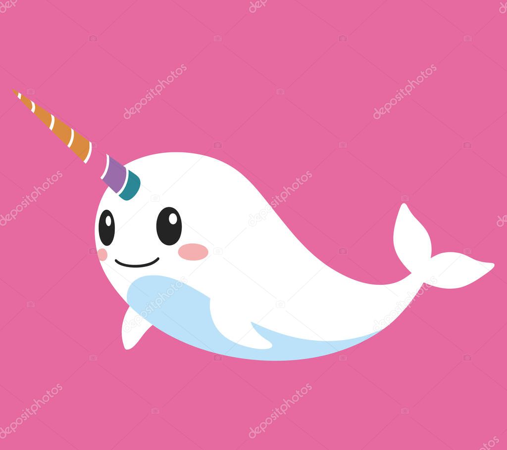 Narwhal vector illustration graphic