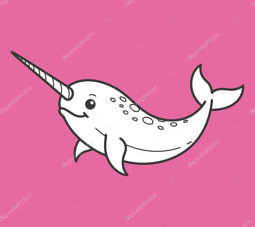 Narwhal vector illustration graphic