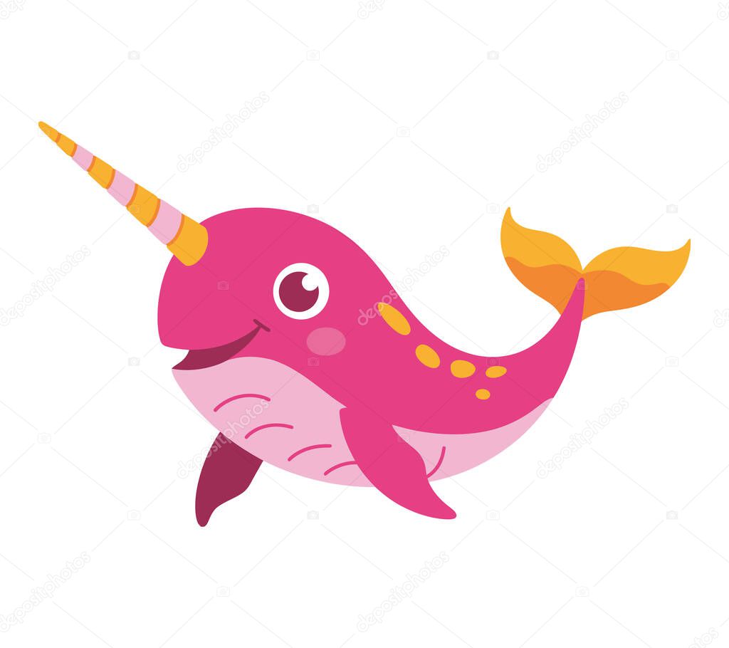 Narwhal vector illustration graphic