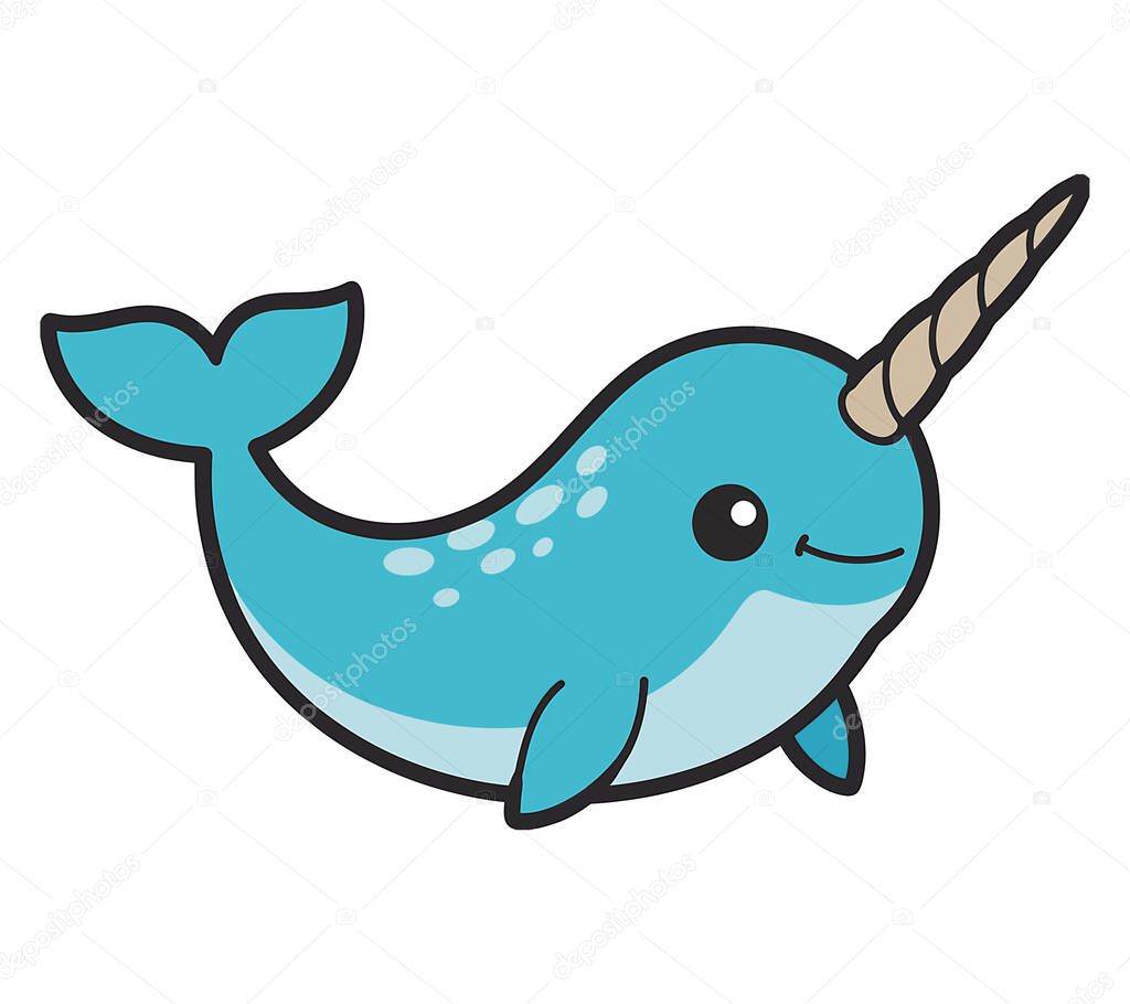 Narwhal vector illustration graphic