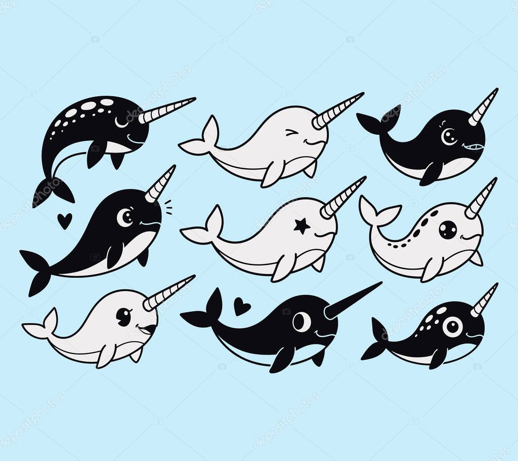 Narwhal vector illustration graphic