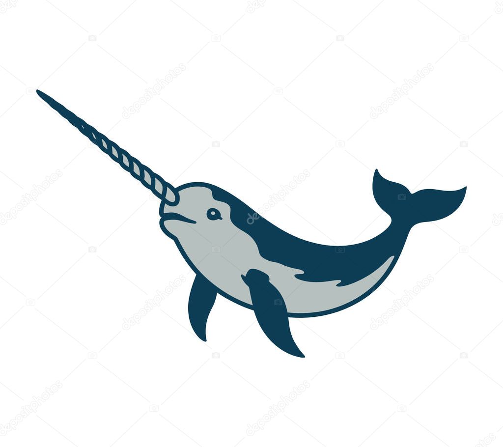 Narwhal vector illustration graphic
