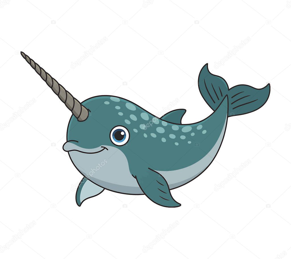 Narwhal vector illustration graphic