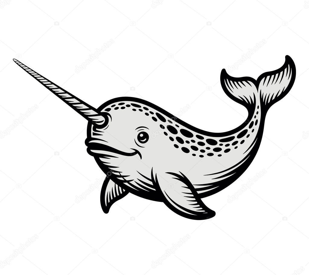 Narwhal vector illustration graphic