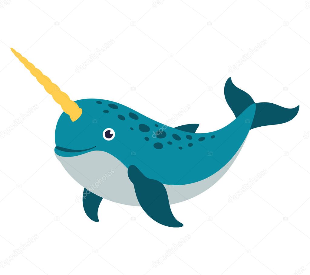 Narwhal vector illustration graphic