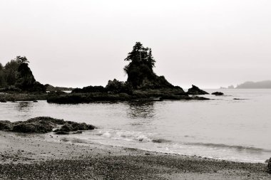 Kanada 'nın Britanya Kolumbiyası' nın batı Pasifik kıyısında sakin sularla çevrili engebeli adaların sakin bir manzarası uzanır. Bu sakin kıyı manzarası karamsar siyah ve beyaz bir formda yakalanır.. 