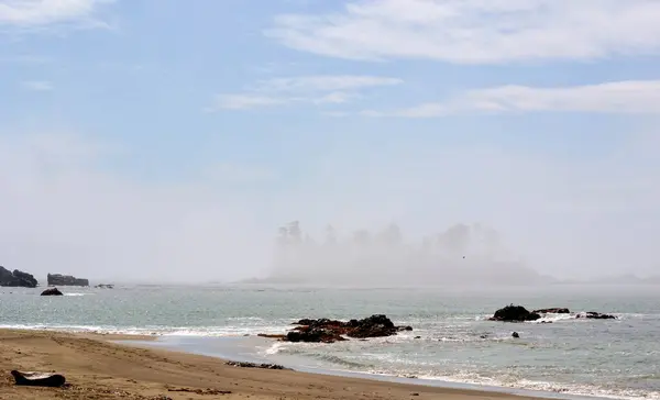 Vancouver Adaları 'nın sakin güzelliği Batı Kıyısı' nda sisli bir ada ve sakin bir kıyı şeridi. Sisli sahil cazibesini ve engebeli manzarayı kusursuz bir şekilde yakalıyor..