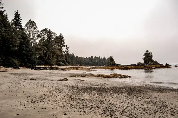 Engebeli kıyı kaya oluşumları, yumuşak kumlu plajlar ve sık yeşil ormanlarla dolu sakin bir Pasifik kıyı şeridi. Sisli atmosfer ve sessiz tonlar sakin ve el değmemiş bir manzara yaratır..