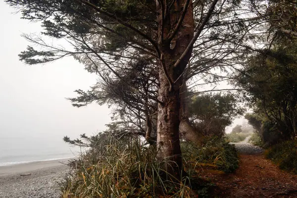 Sakin bir sahil yolu yoğun, sis kaplı ağaçların arasından eserek sessiz bir çakıl taşı plajına açılıyor. Sis ruhani bir atmosfer yaratır. Denizin gökyüzüyle buluştuğu ufku yumuşatır..