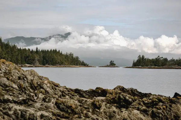 Alçaktan uzanan bulutlar, ağaçlarla kaplı, yemyeşil adaların üzerinde yavaşça sürüklenirler. Bu nefes kesen kıyı manzarası Kuzeybatı Pasifik 'in özünü yakalıyor. Huzur ve bozulmamış doğal cazibe sunuyor..